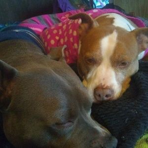 Meet your Posher, Traci